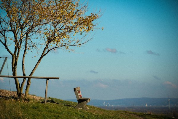 Les maladies endocriniennes : symptômes et traitements