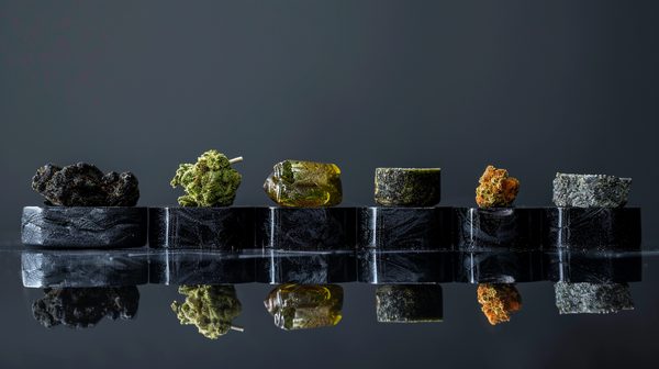 Top 5 résines chanvre 2024 : le grand comparatif