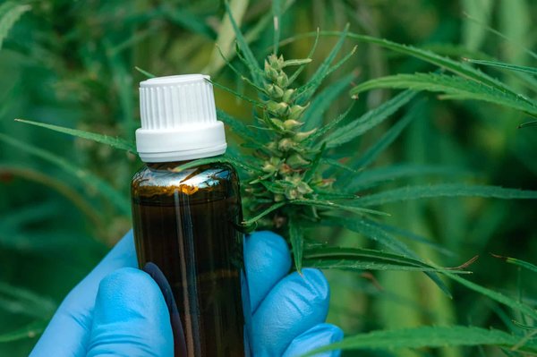 Les propriétés et utilisations bénéfiques du CBD : que faut-il en savoir ?